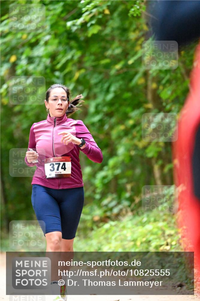 11.10.2026 - Bramfelder Halbmarathon 2026 Dr. Thomas Lammeyer http://msf.ph/oto/10825555 11.10.2026 10:50:29 Laufen 35, 374, 82 meine-sportfotos.de
