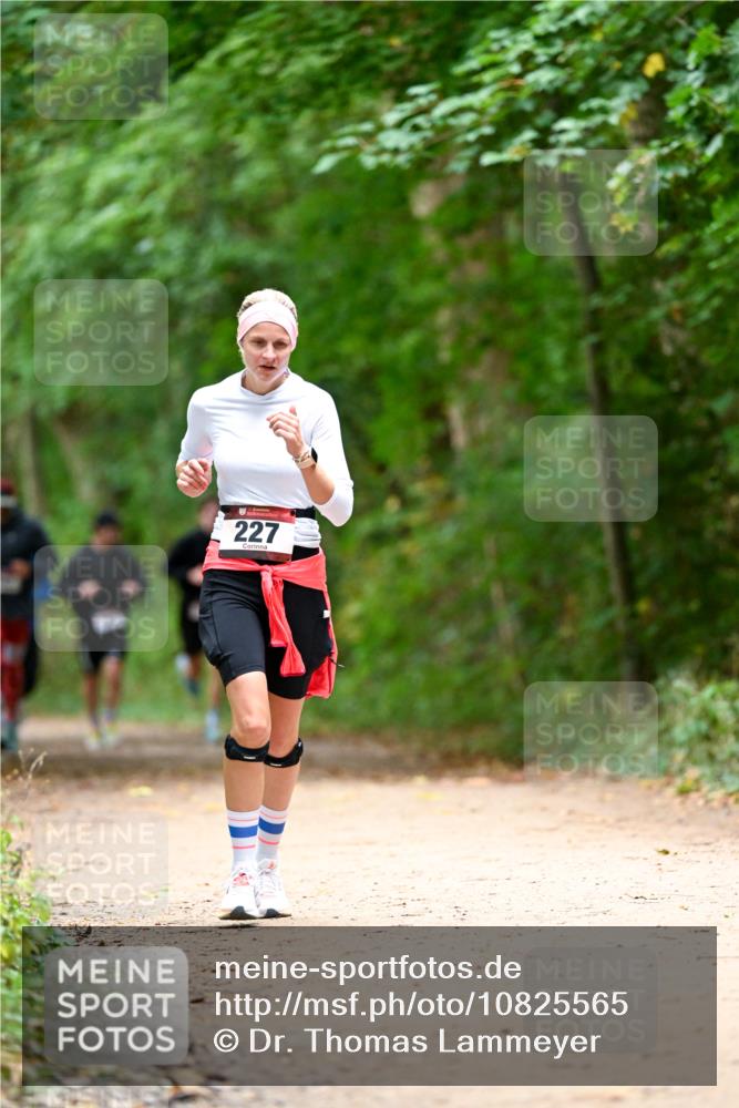 11.10.2026 - Bramfelder Halbmarathon 2026 Dr. Thomas Lammeyer http://msf.ph/oto/10825565 11.10.2026 10:50:31 Laufen 227 meine-sportfotos.de