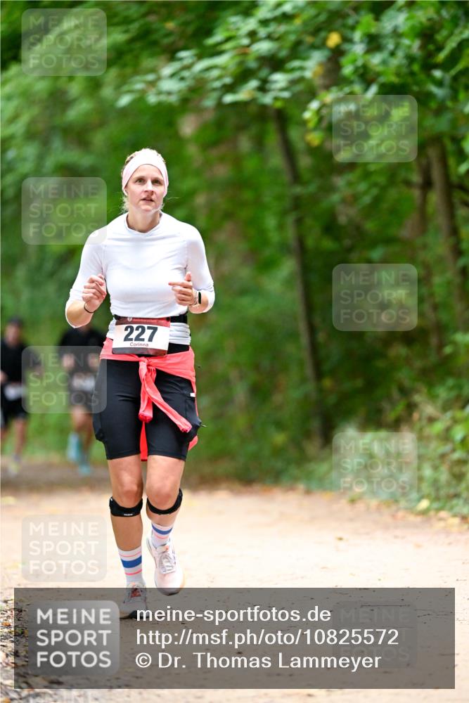 11.10.2026 - Bramfelder Halbmarathon 2026 Dr. Thomas Lammeyer http://msf.ph/oto/10825572 11.10.2026 10:50:32 Laufen 227 meine-sportfotos.de