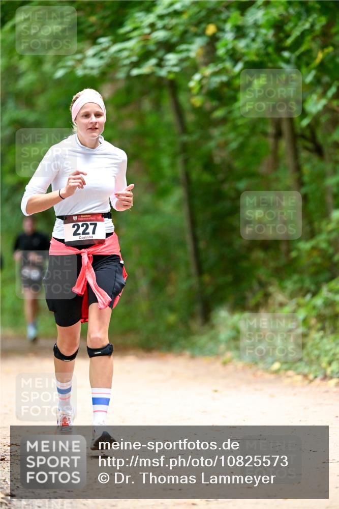 11.10.2026 - Bramfelder Halbmarathon 2026 Dr. Thomas Lammeyer http://msf.ph/oto/10825573 11.10.2026 10:50:32 Laufen 35, 227 meine-sportfotos.de