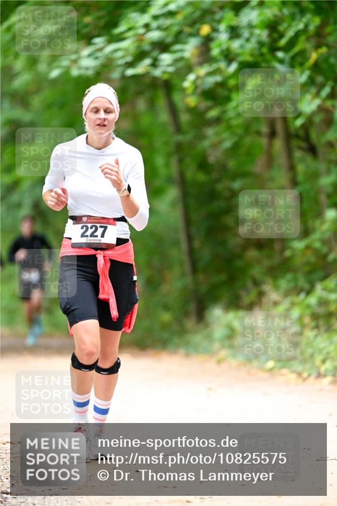 11.10.2026 - Bramfelder Halbmarathon 2026 Dr. Thomas Lammeyer http://msf.ph/oto/10825575 11.10.2026 10:50:33 Laufen 227 meine-sportfotos.de