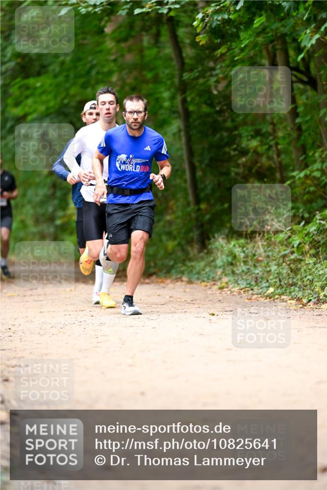 11.10.2026 - Bramfelder Halbmarathon 2026 Dr. Thomas Lammeyer http://msf.ph/oto/10825641 11.10.2026 10:50:48 Laufen  meine-sportfotos.de