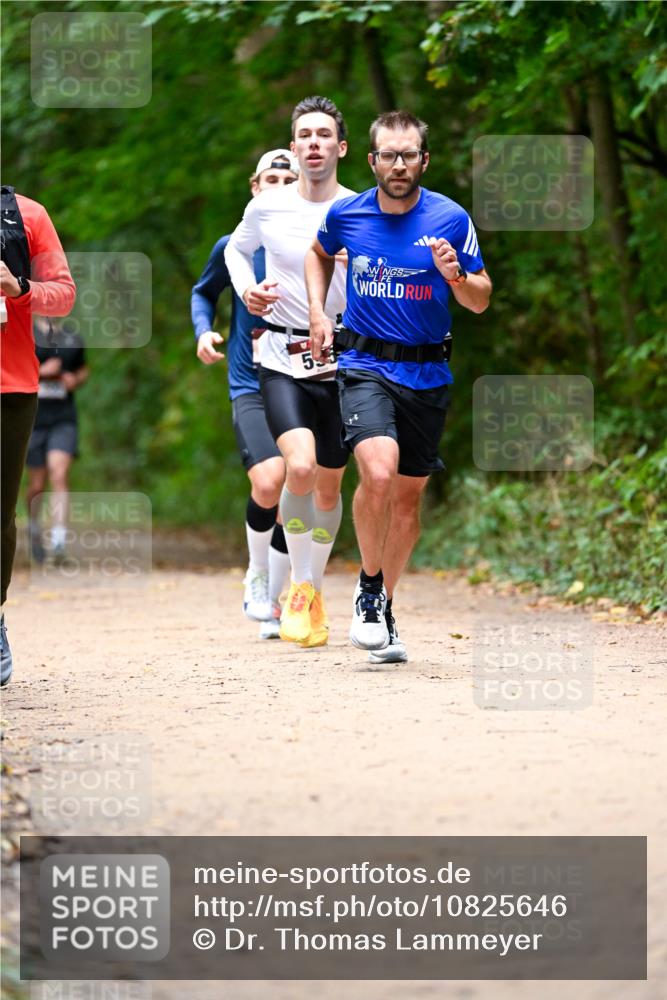 11.10.2026 - Bramfelder Halbmarathon 2026 Dr. Thomas Lammeyer http://msf.ph/oto/10825646 11.10.2026 10:50:49 Laufen  meine-sportfotos.de
