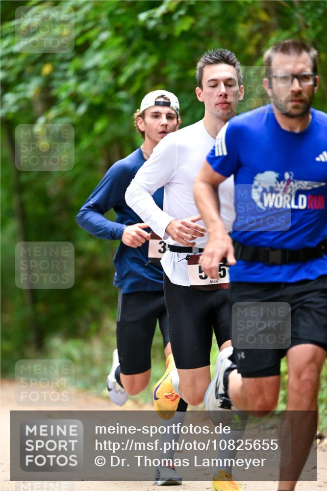 11.10.2026 - Bramfelder Halbmarathon 2026 Dr. Thomas Lammeyer http://msf.ph/oto/10825655 11.10.2026 10:50:51 Laufen 3, 505 meine-sportfotos.de