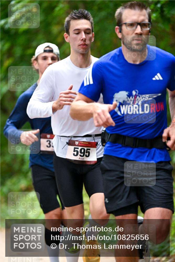 11.10.2026 - Bramfelder Halbmarathon 2026 Dr. Thomas Lammeyer http://msf.ph/oto/10825656 11.10.2026 10:50:51 Laufen 3, 595 meine-sportfotos.de