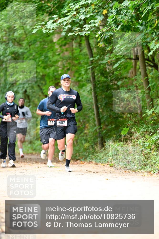 11.10.2026 - Bramfelder Halbmarathon 2026 Dr. Thomas Lammeyer http://msf.ph/oto/10825736 11.10.2026 10:51:18 Laufen 114, 607 meine-sportfotos.de