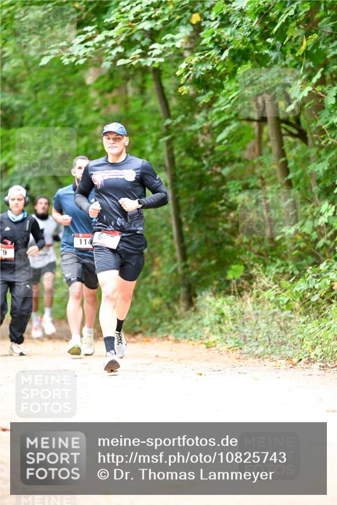 11.10.2026 - Bramfelder Halbmarathon 2026 Dr. Thomas Lammeyer http://msf.ph/oto/10825743 11.10.2026 10:51:19 Laufen 79, 114 meine-sportfotos.de