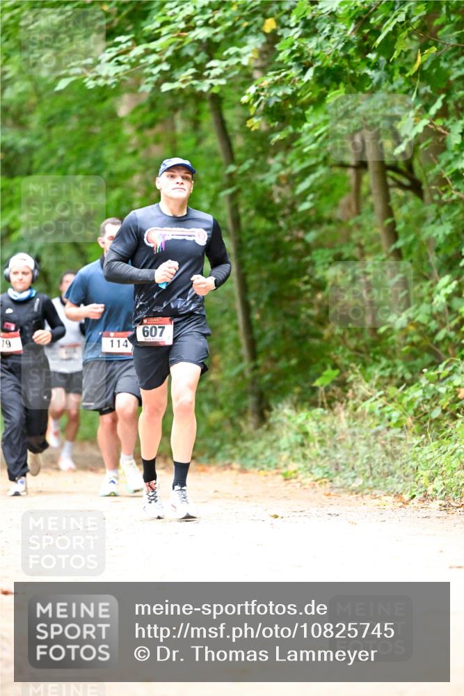 11.10.2026 - Bramfelder Halbmarathon 2026 Dr. Thomas Lammeyer http://msf.ph/oto/10825745 11.10.2026 10:51:20 Laufen 79, 114, 607 meine-sportfotos.de