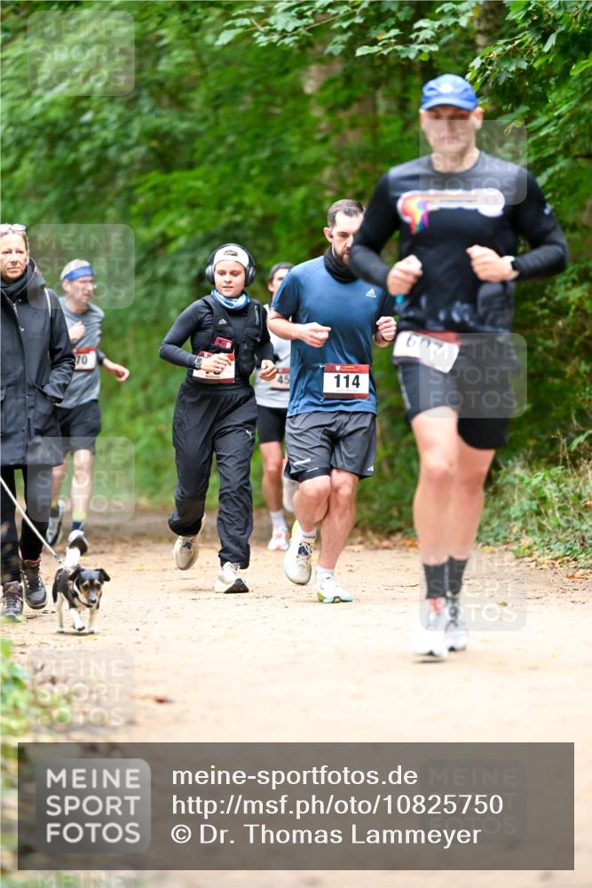 11.10.2026 - Bramfelder Halbmarathon 2026 Dr. Thomas Lammeyer http://msf.ph/oto/10825750 11.10.2026 10:51:21 Laufen 70, 114, 607 meine-sportfotos.de