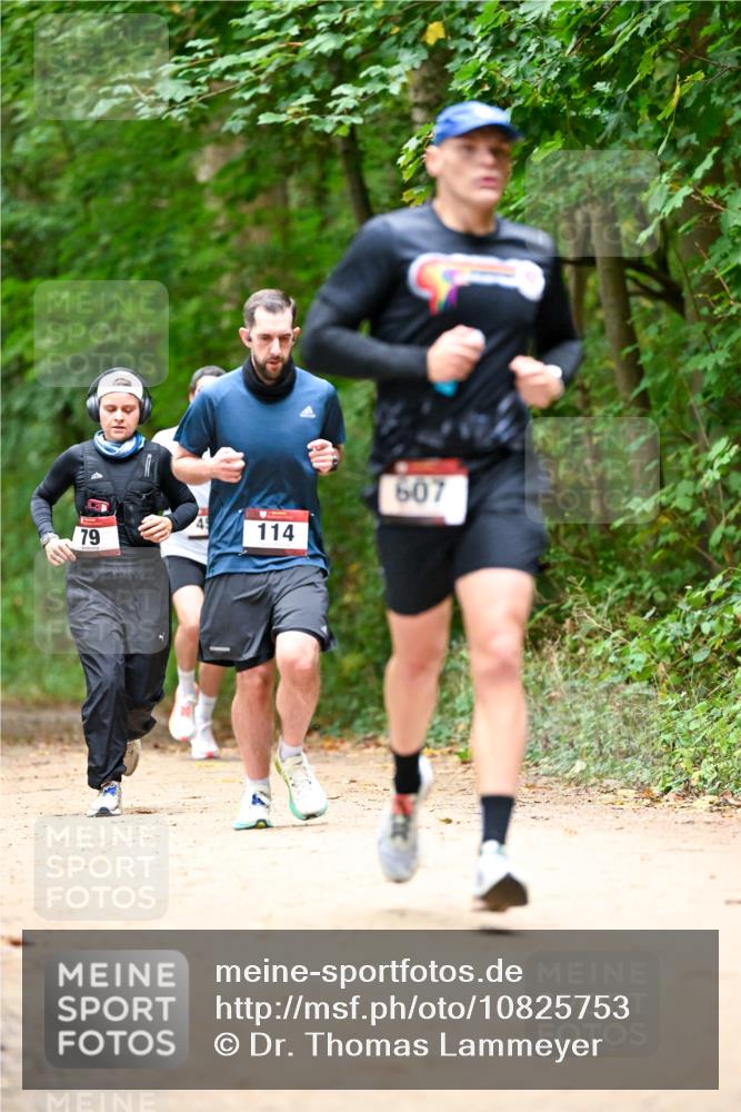 11.10.2026 - Bramfelder Halbmarathon 2026 Dr. Thomas Lammeyer http://msf.ph/oto/10825753 11.10.2026 10:51:21 Laufen 114, 79, 607 meine-sportfotos.de