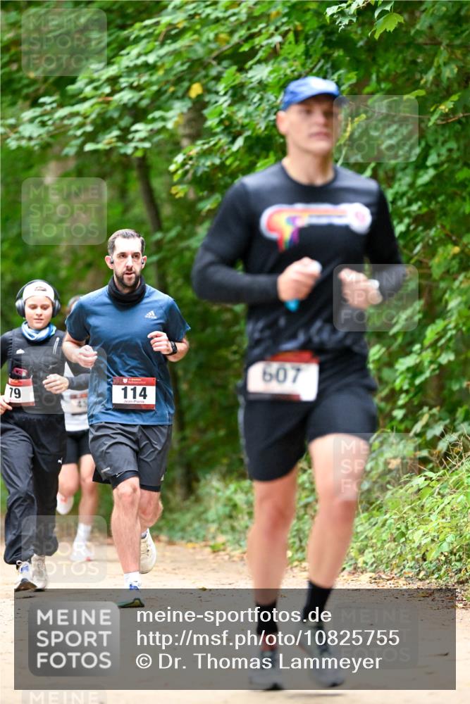 11.10.2026 - Bramfelder Halbmarathon 2026 Dr. Thomas Lammeyer http://msf.ph/oto/10825755 11.10.2026 10:51:22 Laufen 79, 114, 607 meine-sportfotos.de