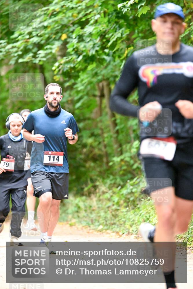 11.10.2026 - Bramfelder Halbmarathon 2026 Dr. Thomas Lammeyer http://msf.ph/oto/10825759 11.10.2026 10:51:22 Laufen 79, 114 meine-sportfotos.de