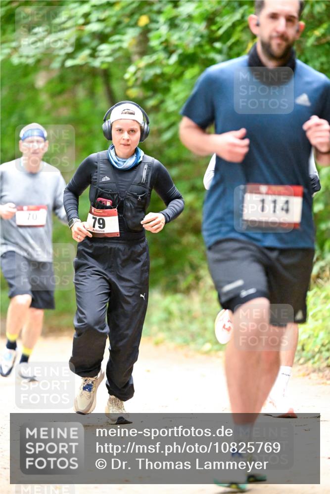 11.10.2026 - Bramfelder Halbmarathon 2026 Dr. Thomas Lammeyer http://msf.ph/oto/10825769 11.10.2026 10:51:24 Laufen 70, 79, 114 meine-sportfotos.de