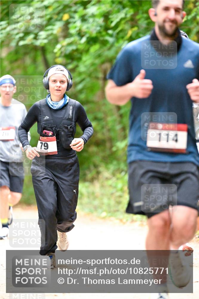 11.10.2026 - Bramfelder Halbmarathon 2026 Dr. Thomas Lammeyer http://msf.ph/oto/10825771 11.10.2026 10:51:25 Laufen 70, 79, 114 meine-sportfotos.de