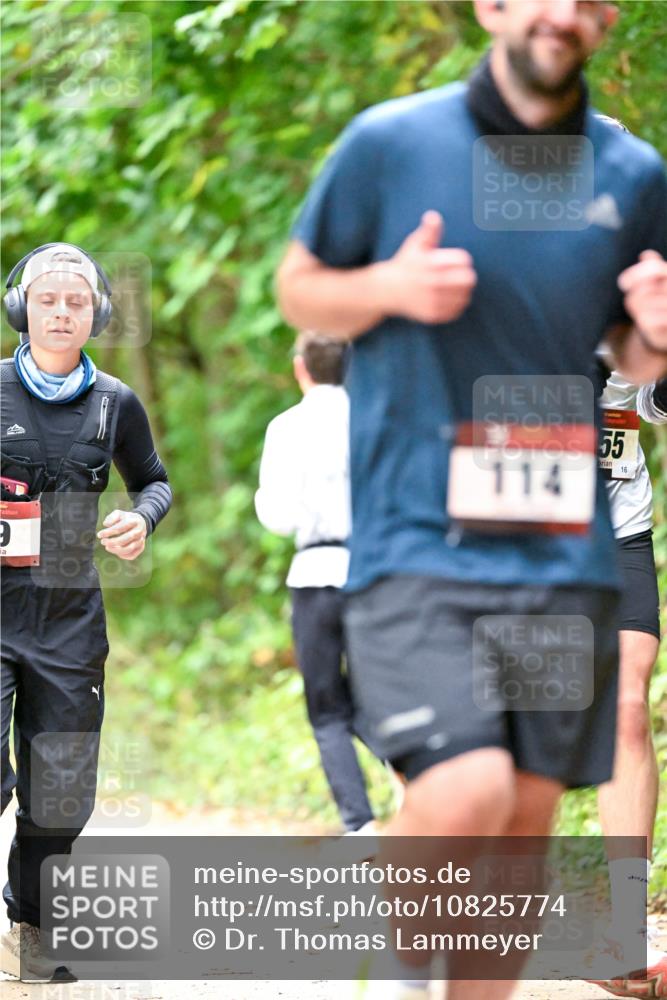 11.10.2026 - Bramfelder Halbmarathon 2026 Dr. Thomas Lammeyer http://msf.ph/oto/10825774 11.10.2026 10:51:25 Laufen 114, 55, 16 meine-sportfotos.de