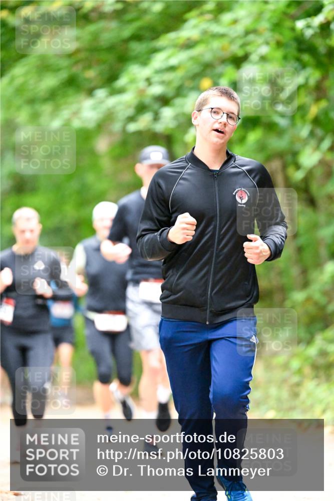 11.10.2026 - Bramfelder Halbmarathon 2026 Dr. Thomas Lammeyer http://msf.ph/oto/10825803 11.10.2026 10:51:37 Laufen  meine-sportfotos.de