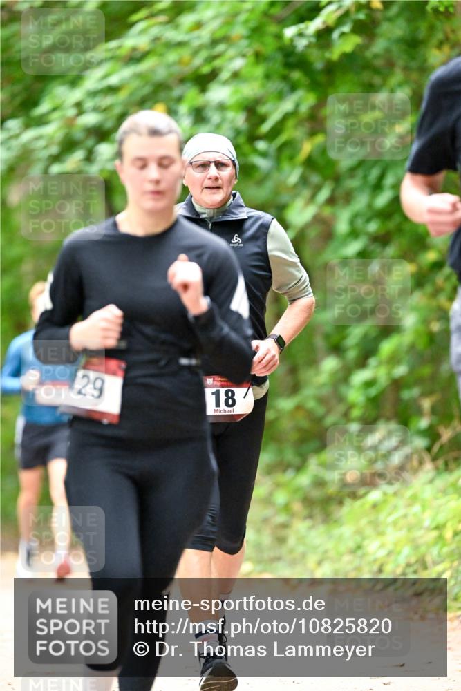 11.10.2026 - Bramfelder Halbmarathon 2026 Dr. Thomas Lammeyer http://msf.ph/oto/10825820 11.10.2026 10:51:39 Laufen 8, 29, 35, 18 meine-sportfotos.de