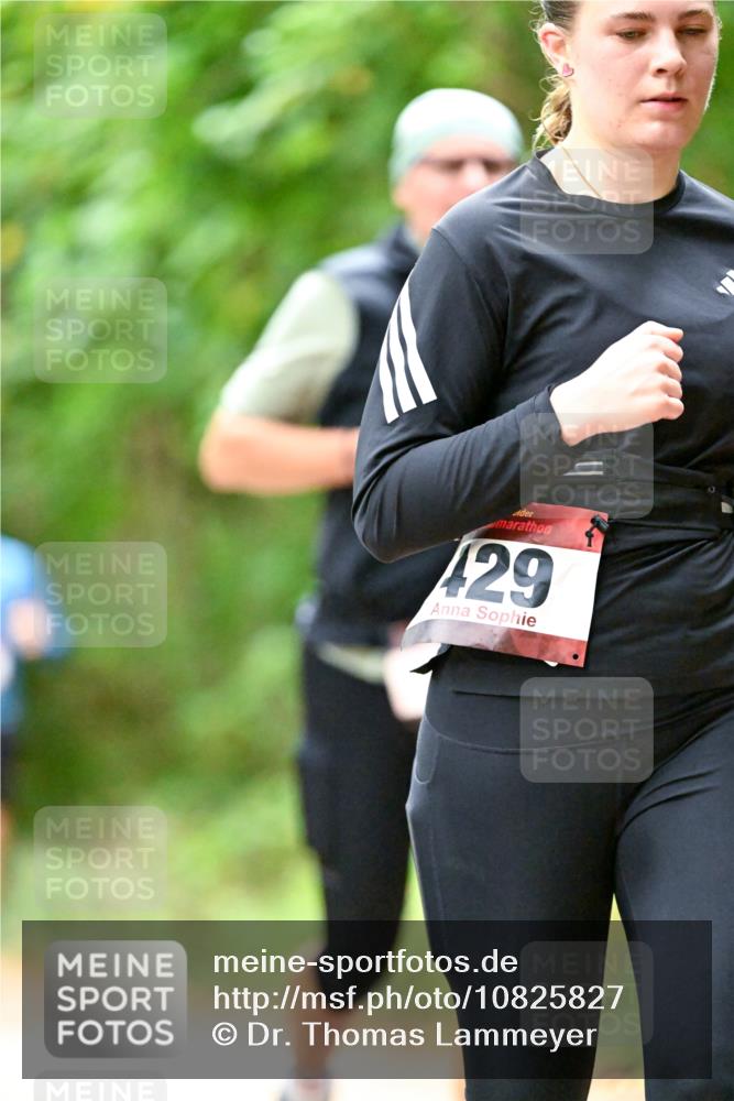 11.10.2026 - Bramfelder Halbmarathon 2026 Dr. Thomas Lammeyer http://msf.ph/oto/10825827 11.10.2026 10:51:41 Laufen 429 meine-sportfotos.de