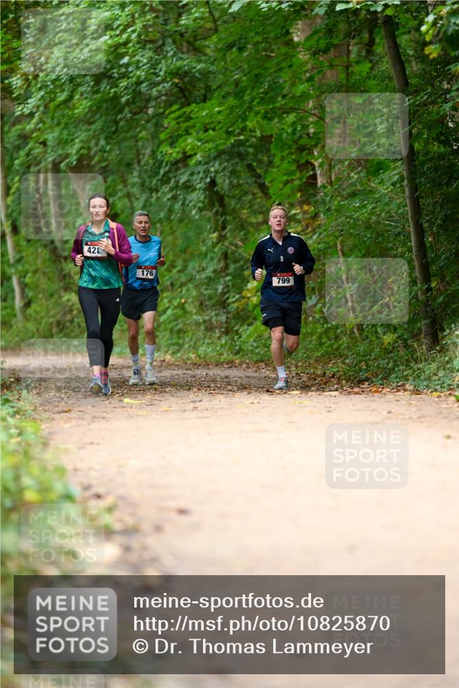 11.10.2026 - Bramfelder Halbmarathon 2026 Dr. Thomas Lammeyer http://msf.ph/oto/10825870 11.10.2026 10:51:59 Laufen 42, 176, 799 meine-sportfotos.de