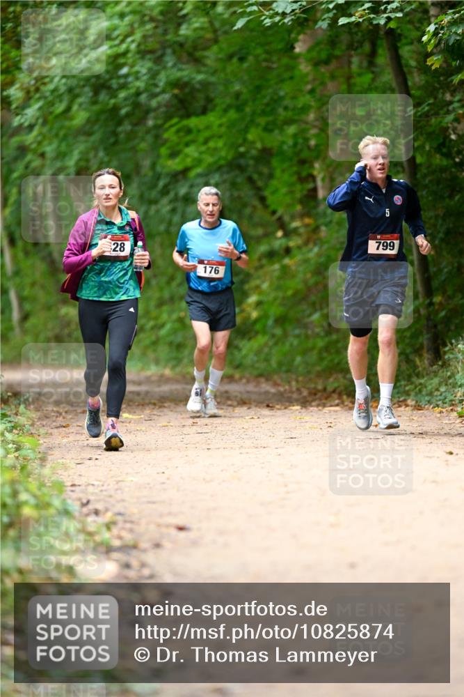 11.10.2026 - Bramfelder Halbmarathon 2026 Dr. Thomas Lammeyer http://msf.ph/oto/10825874 11.10.2026 10:52:02 Laufen 28, 176, 5, 799 meine-sportfotos.de