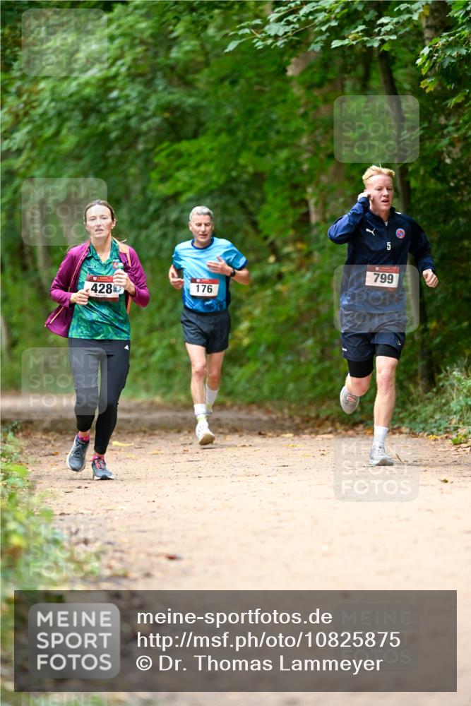 11.10.2026 - Bramfelder Halbmarathon 2026 Dr. Thomas Lammeyer http://msf.ph/oto/10825875 11.10.2026 10:52:02 Laufen 428, 176, 5, 799 meine-sportfotos.de