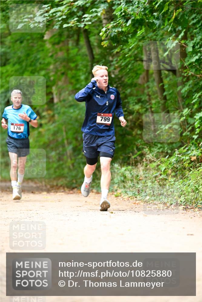 11.10.2026 - Bramfelder Halbmarathon 2026 Dr. Thomas Lammeyer http://msf.ph/oto/10825880 11.10.2026 10:52:03 Laufen 176, 5, 799 meine-sportfotos.de