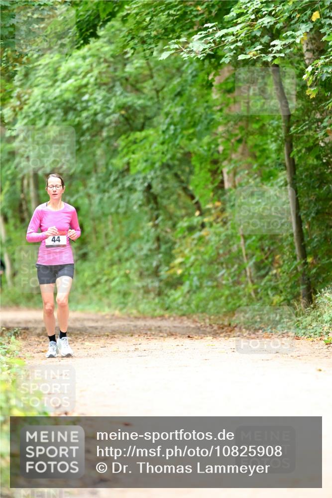 11.10.2026 - Bramfelder Halbmarathon 2026 Dr. Thomas Lammeyer http://msf.ph/oto/10825908 11.10.2026 10:52:13 Laufen 44 meine-sportfotos.de