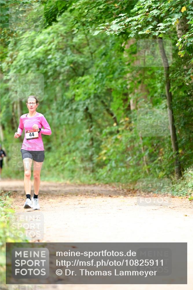 11.10.2026 - Bramfelder Halbmarathon 2026 Dr. Thomas Lammeyer http://msf.ph/oto/10825911 11.10.2026 10:52:13 Laufen 44 meine-sportfotos.de