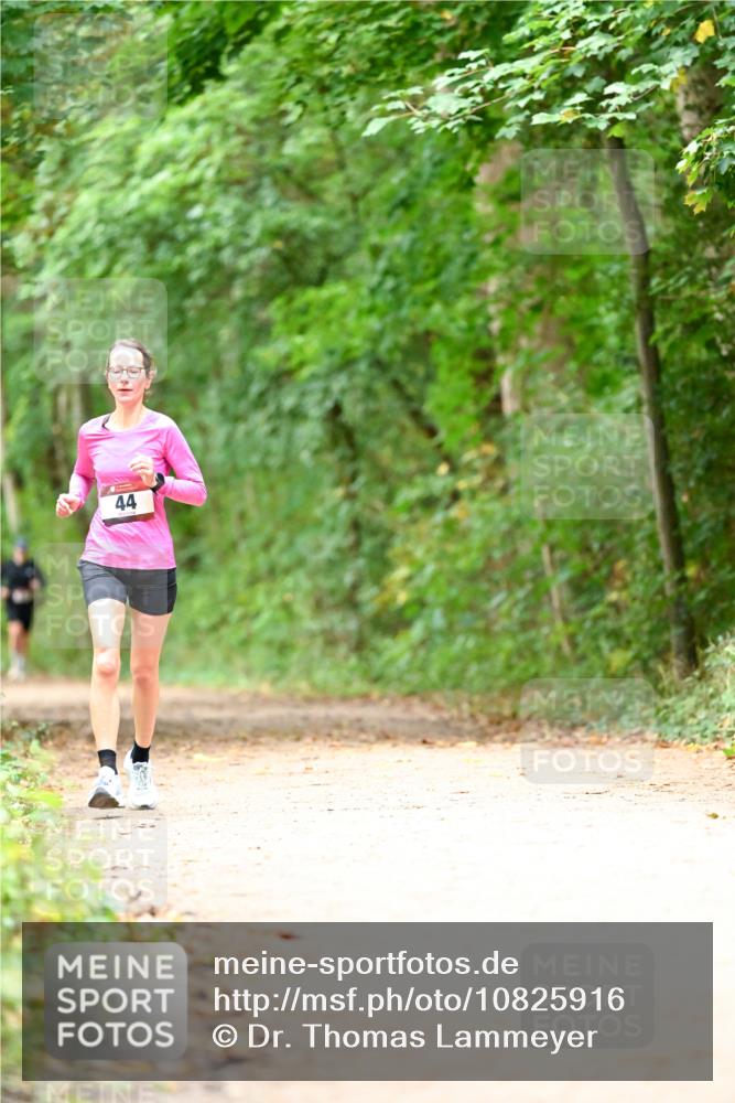 11.10.2026 - Bramfelder Halbmarathon 2026 Dr. Thomas Lammeyer http://msf.ph/oto/10825916 11.10.2026 10:52:14 Laufen 44 meine-sportfotos.de
