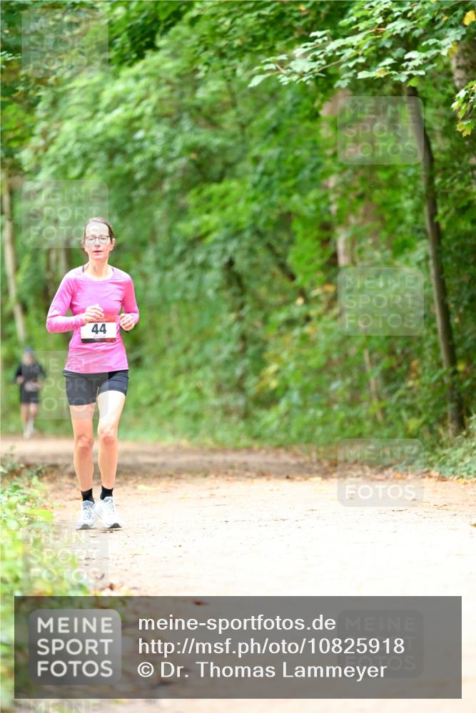11.10.2026 - Bramfelder Halbmarathon 2026 Dr. Thomas Lammeyer http://msf.ph/oto/10825918 11.10.2026 10:52:14 Laufen 44 meine-sportfotos.de