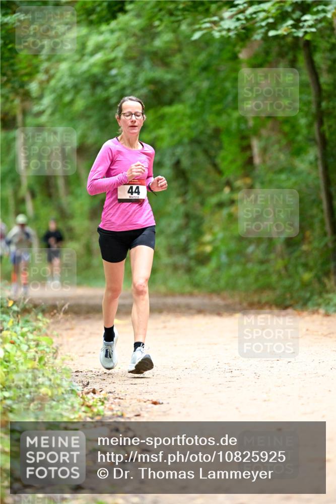 11.10.2026 - Bramfelder Halbmarathon 2026 Dr. Thomas Lammeyer http://msf.ph/oto/10825925 11.10.2026 10:52:15 Laufen 44 meine-sportfotos.de