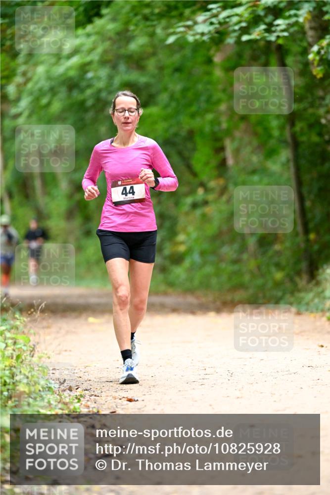 11.10.2026 - Bramfelder Halbmarathon 2026 Dr. Thomas Lammeyer http://msf.ph/oto/10825928 11.10.2026 10:52:16 Laufen 44 meine-sportfotos.de