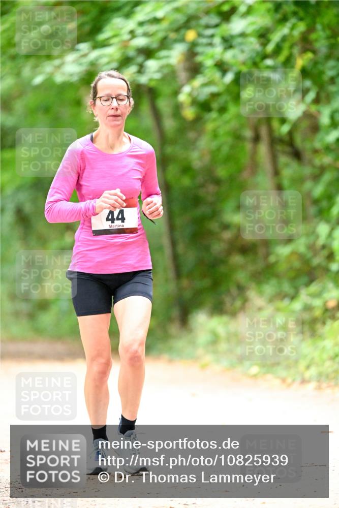 11.10.2026 - Bramfelder Halbmarathon 2026 Dr. Thomas Lammeyer http://msf.ph/oto/10825939 11.10.2026 10:52:17 Laufen 44 meine-sportfotos.de
