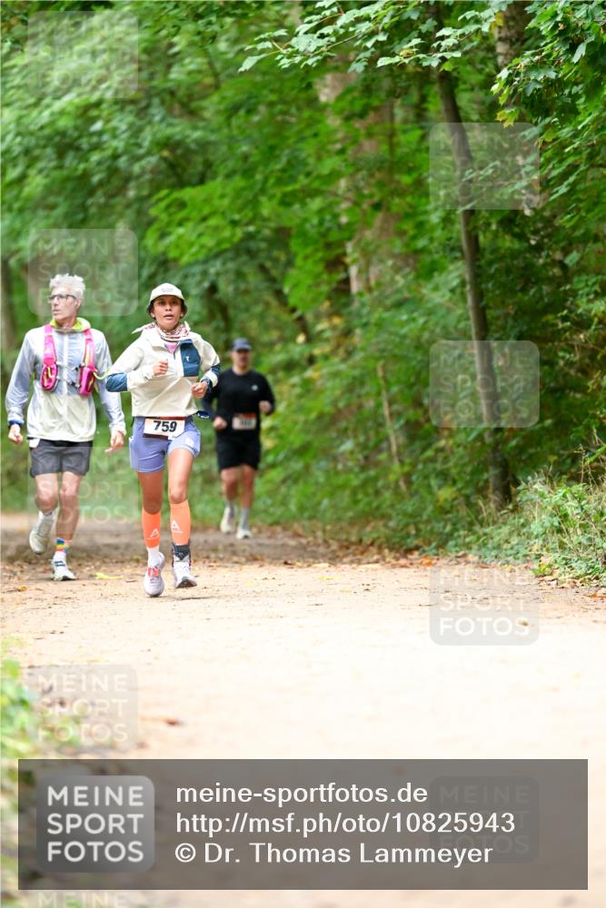 11.10.2026 - Bramfelder Halbmarathon 2026 Dr. Thomas Lammeyer http://msf.ph/oto/10825943 11.10.2026 10:52:26 Laufen 759 meine-sportfotos.de