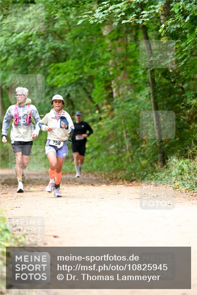 11.10.2026 - Bramfelder Halbmarathon 2026 Dr. Thomas Lammeyer http://msf.ph/oto/10825945 11.10.2026 10:52:26 Laufen 759 meine-sportfotos.de