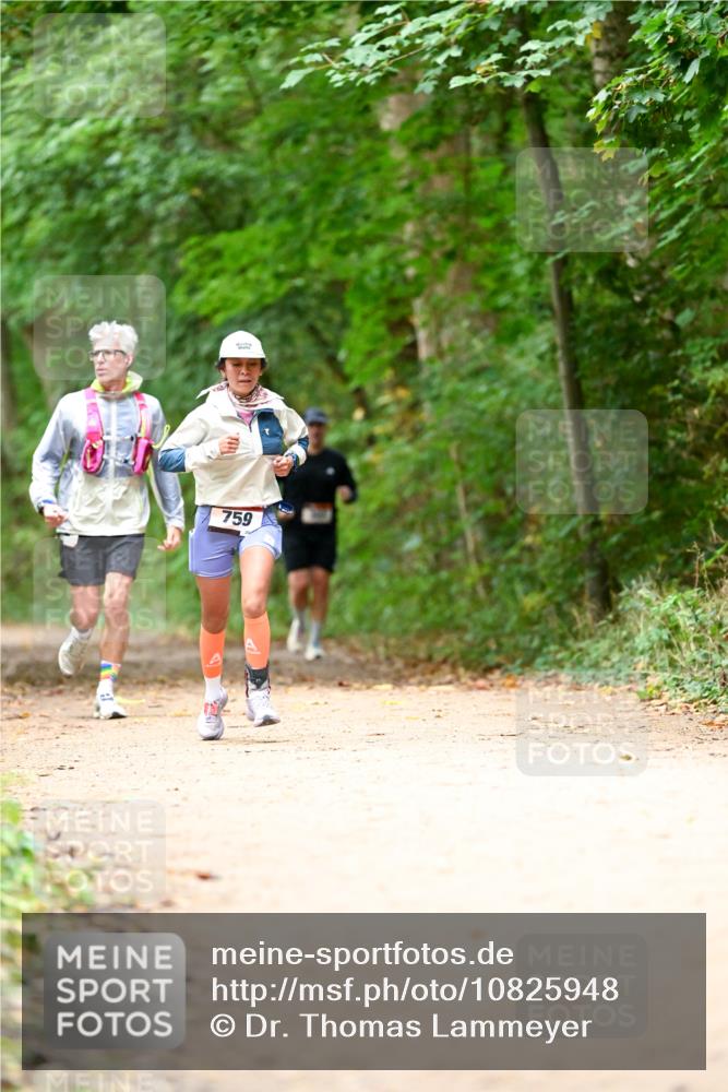 11.10.2026 - Bramfelder Halbmarathon 2026 Dr. Thomas Lammeyer http://msf.ph/oto/10825948 11.10.2026 10:52:26 Laufen 759 meine-sportfotos.de