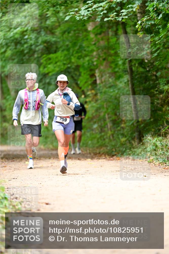 11.10.2026 - Bramfelder Halbmarathon 2026 Dr. Thomas Lammeyer http://msf.ph/oto/10825951 11.10.2026 10:52:27 Laufen 759 meine-sportfotos.de