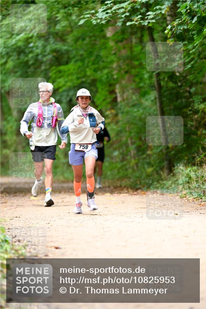 11.10.2026 - Bramfelder Halbmarathon 2026 Dr. Thomas Lammeyer http://msf.ph/oto/10825953 11.10.2026 10:52:27 Laufen 759 meine-sportfotos.de