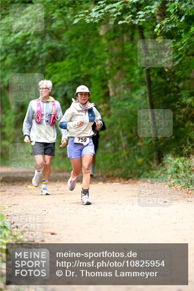 11.10.2026 - Bramfelder Halbmarathon 2026 Dr. Thomas Lammeyer http://msf.ph/oto/10825954 11.10.2026 10:52:27 Laufen 759 meine-sportfotos.de