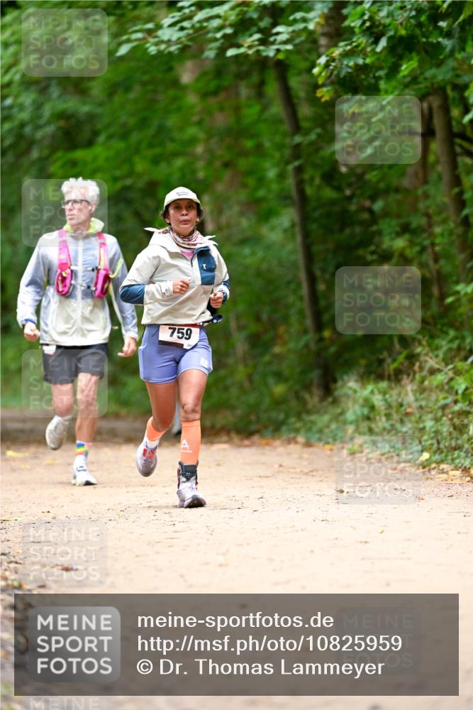 11.10.2026 - Bramfelder Halbmarathon 2026 Dr. Thomas Lammeyer http://msf.ph/oto/10825959 11.10.2026 10:52:28 Laufen 759 meine-sportfotos.de