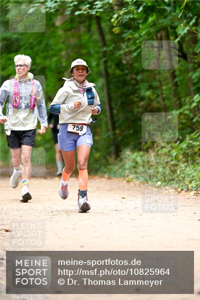 11.10.2026 - Bramfelder Halbmarathon 2026 Dr. Thomas Lammeyer http://msf.ph/oto/10825964 11.10.2026 10:52:29 Laufen 759, 244 meine-sportfotos.de
