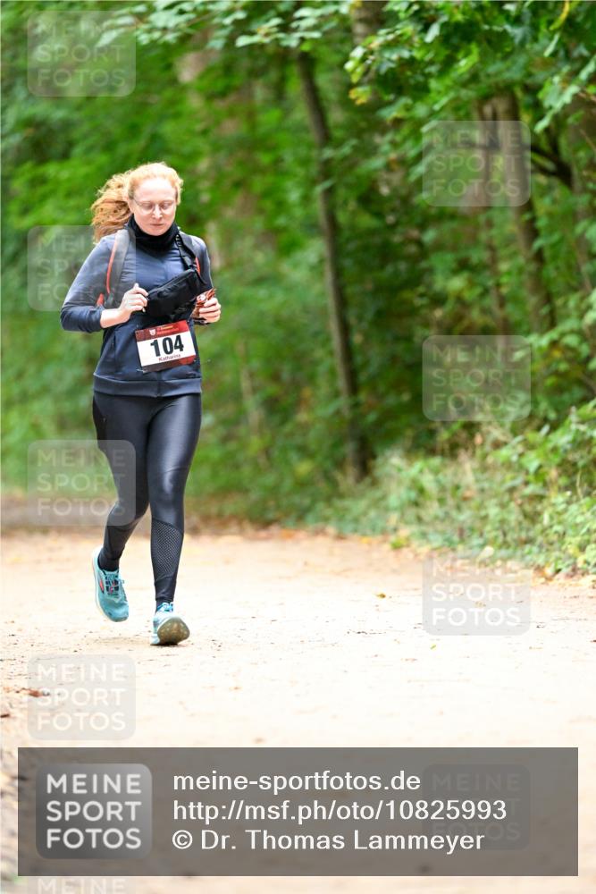 11.10.2026 - Bramfelder Halbmarathon 2026 Dr. Thomas Lammeyer http://msf.ph/oto/10825993 11.10.2026 10:52:39 Laufen 104 meine-sportfotos.de