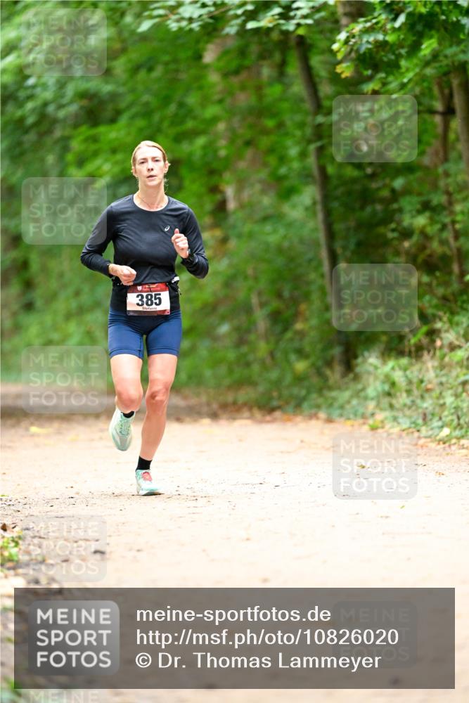 11.10.2026 - Bramfelder Halbmarathon 2026 Dr. Thomas Lammeyer http://msf.ph/oto/10826020 11.10.2026 10:53:11 Laufen 385 meine-sportfotos.de