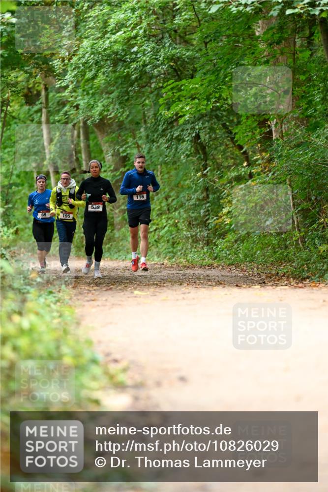 11.10.2026 - Bramfelder Halbmarathon 2026 Dr. Thomas Lammeyer http://msf.ph/oto/10826029 11.10.2026 10:53:17 Laufen 69, 195, 539, 116 meine-sportfotos.de