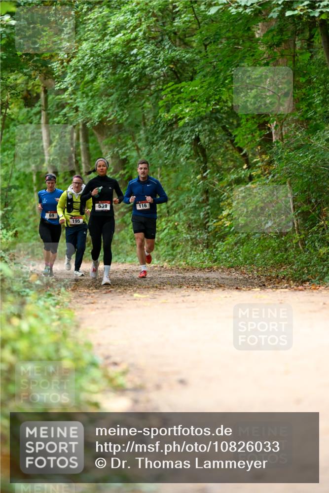 11.10.2026 - Bramfelder Halbmarathon 2026 Dr. Thomas Lammeyer http://msf.ph/oto/10826033 11.10.2026 10:53:17 Laufen 69, 195, 539, 116 meine-sportfotos.de