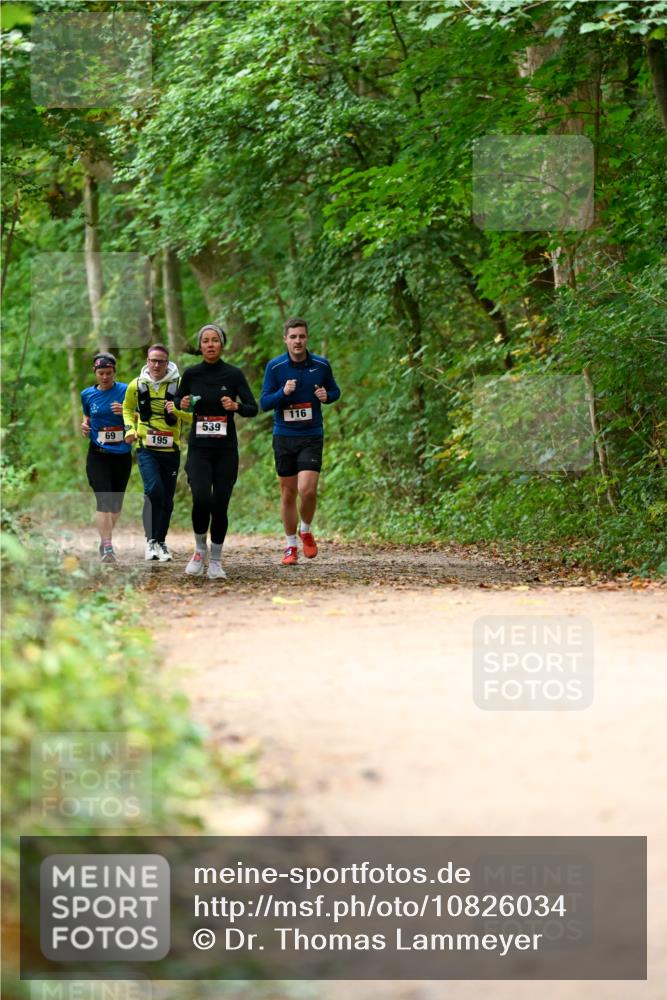 11.10.2026 - Bramfelder Halbmarathon 2026 Dr. Thomas Lammeyer http://msf.ph/oto/10826034 11.10.2026 10:53:18 Laufen 69, 195, 539, 116 meine-sportfotos.de