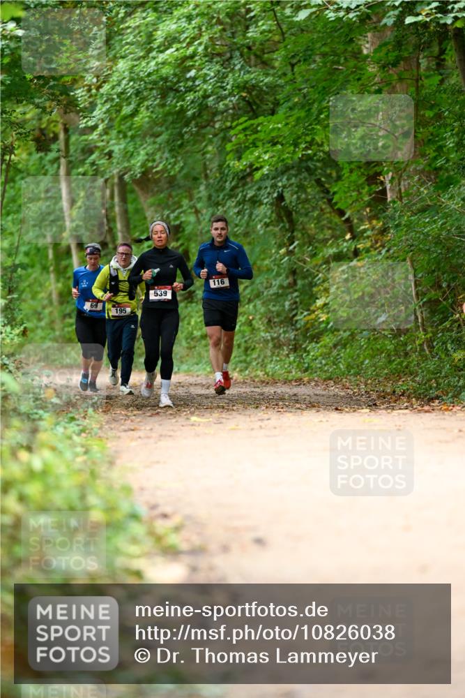 11.10.2026 - Bramfelder Halbmarathon 2026 Dr. Thomas Lammeyer http://msf.ph/oto/10826038 11.10.2026 10:53:18 Laufen 69, 195, 539, 116 meine-sportfotos.de