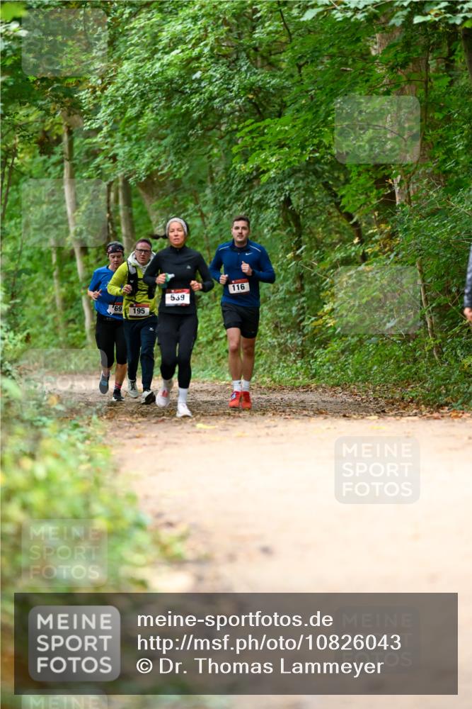 11.10.2026 - Bramfelder Halbmarathon 2026 Dr. Thomas Lammeyer http://msf.ph/oto/10826043 11.10.2026 10:53:19 Laufen 69, 195, 539, 116 meine-sportfotos.de