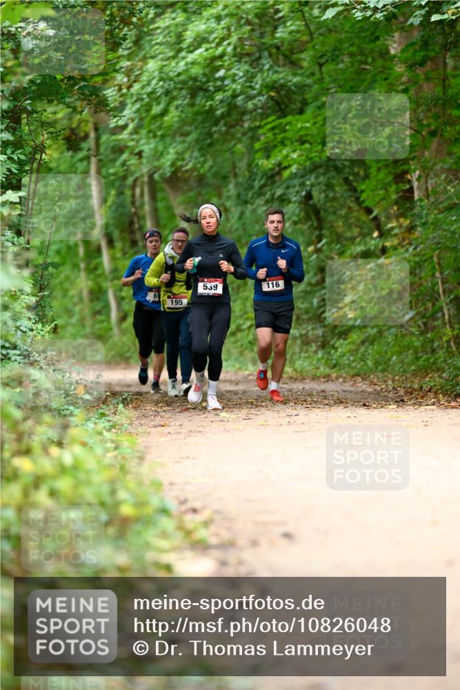 11.10.2026 - Bramfelder Halbmarathon 2026 Dr. Thomas Lammeyer http://msf.ph/oto/10826048 11.10.2026 10:53:19 Laufen 195, 539, 116 meine-sportfotos.de