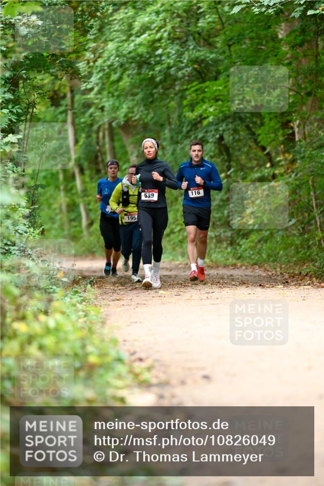11.10.2026 - Bramfelder Halbmarathon 2026 Dr. Thomas Lammeyer http://msf.ph/oto/10826049 11.10.2026 10:53:20 Laufen 195, 539, 116 meine-sportfotos.de